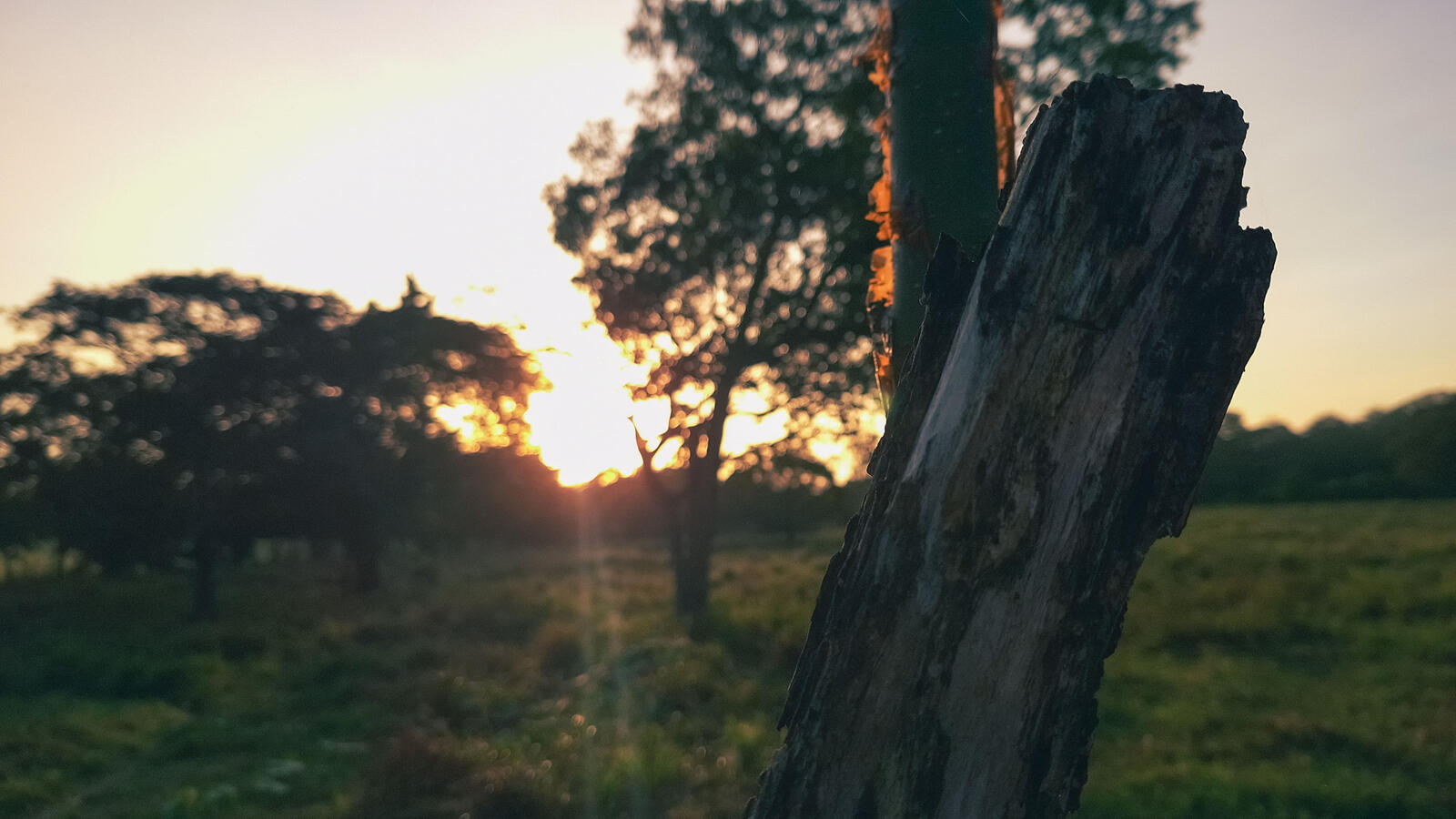 FOTOGRAFIA Y VIDEO
